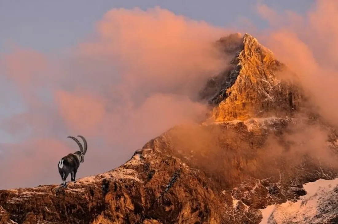 LUCÉ - Ciné conférence : Les Alpes, ambiance des cimes