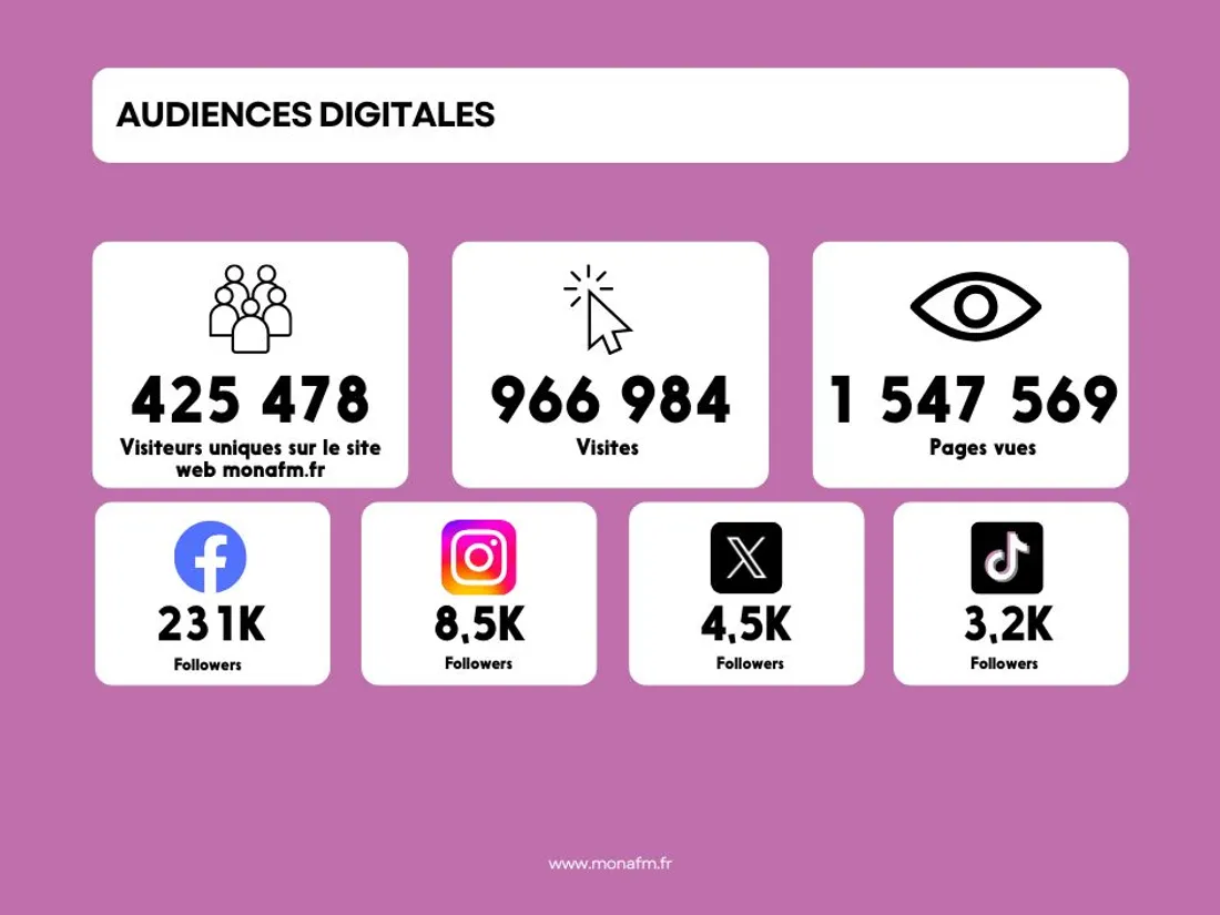 Audiences Digitales