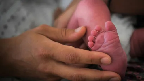 La baisse de la natalité se poursuit en France