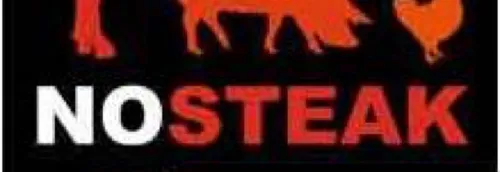 Mona FM vous offre le livre No Steak