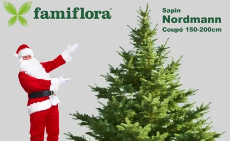 Votre sapin Nordmann avec Famiflora
