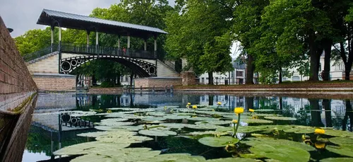 Lille récompensée au concours "Capitale française de la biodiversité"