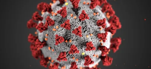 La vague Omicron est-elle en train de faiblir?