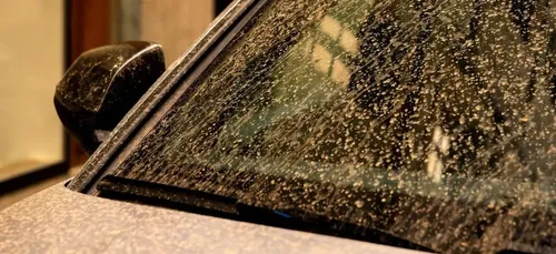 Un nouveau nuage de poussières de sable du Sahara arrive sur la France