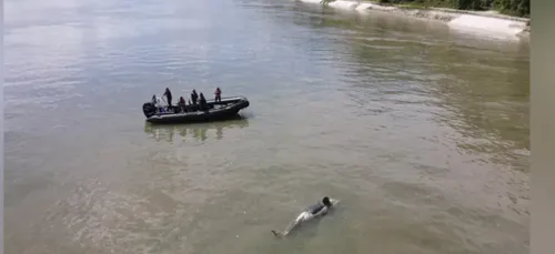 L'orque bloquée dans la Seine retrouvée morte