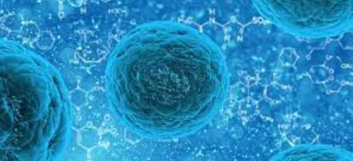 Variole du singe : des centres de vaccination ouvrent dans les...