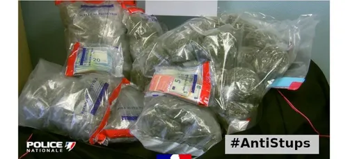 Nouvelles opérations anti stup dans le Nord