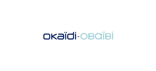 Obaïbi/Okaïdi à Bruay-la-Buissière recrute un co-responsable de...