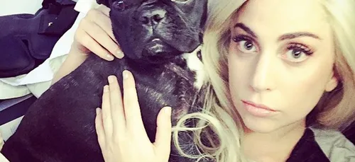 21 ans de prison pour l'un des ravisseurs de chien de Lady Gaga