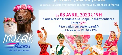 Spectacle de la compagnie Mozaïk au profit de la LPA