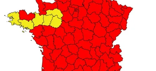 Alerte rouge aux pollens de graminées !