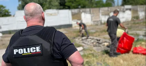 78 cadavres de chiens et de chats découverts