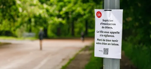 Nouveaux empoisonnements de chiens à Lille
