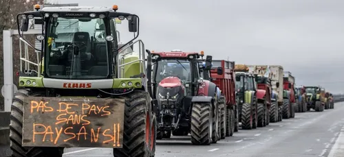 La mobilisation des agriculteurs dans la Région aujourd'hui