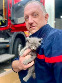 Les pompiers du Nord ont sauvé plusieurs chatons hier