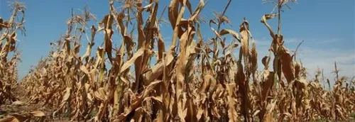 Les départements du Nord et du Pas-de-Calais passent en vigilance...