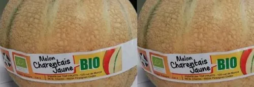 RAPPEL MELON : Présence potentielle de résidus de pesticide...