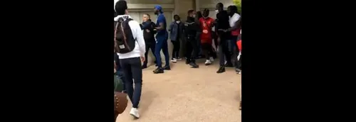 Parc Astérix : Des bagarres entre le personnel et des bandes de...