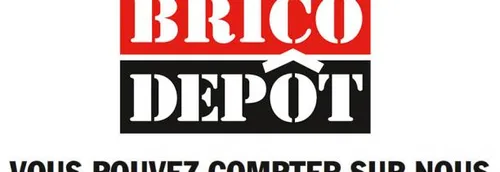BRICO DEPÔT à TOURCOING recherche Vendeur(se) H/F - 9H