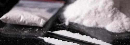 1,3 tonne de cocaïne saisie dans le Nord