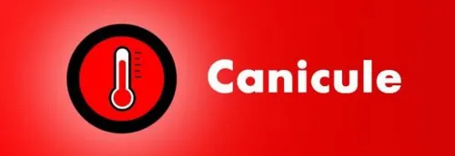 Maintien de la vigilance rouge pour canicule jusque jeudi matin sur...