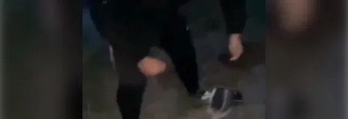 Un adolescent se filme tabassant un canard -il reçoit des dizaines...