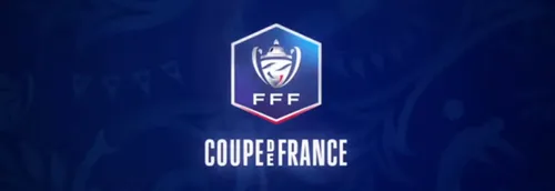 "C'est presque cuit" pour la Coupe de France selon Noël Le Graët,...