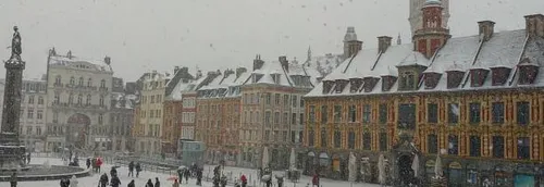 Ilévia : Plus de bus en circulation