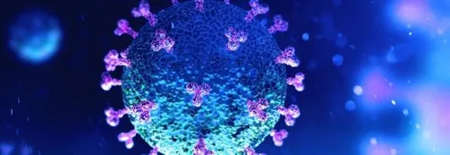 Un nouveau conseil de défense sanitaire, présidé par Emmanuel...