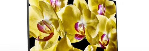 Votre TV LED Sony 4K 139cm