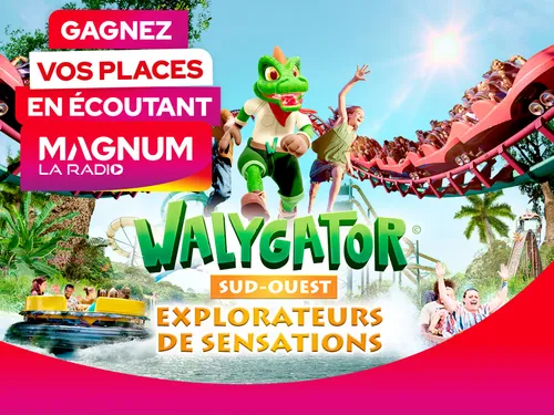 WALYGATOR GRAND EST