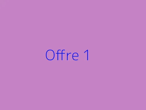 Offre 1