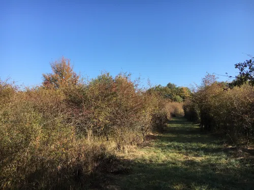 Haute-Marne : la MRAE se prononce en défaveur du parc...