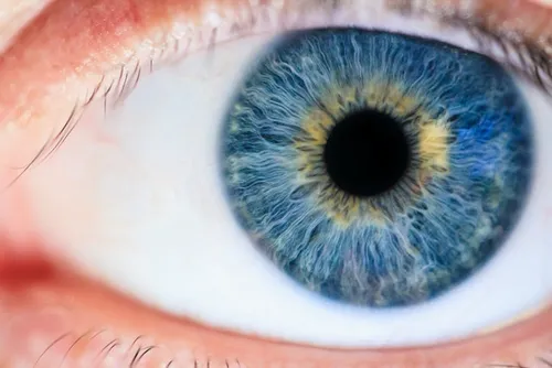 Il est maintenant possible de vous procurer des yeux artificiels,...