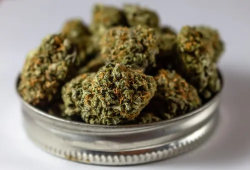 VOSGES : C’est un renouveau pour le marché du CBD