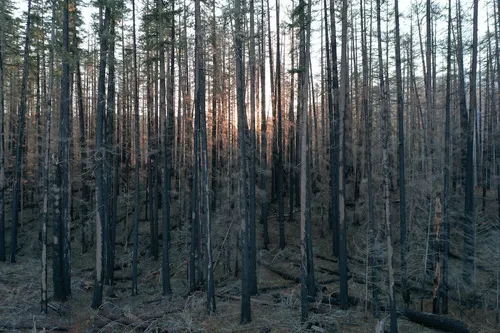 Épinal : l'Écolo'day revient pour sa troisième édition ce jeudi
