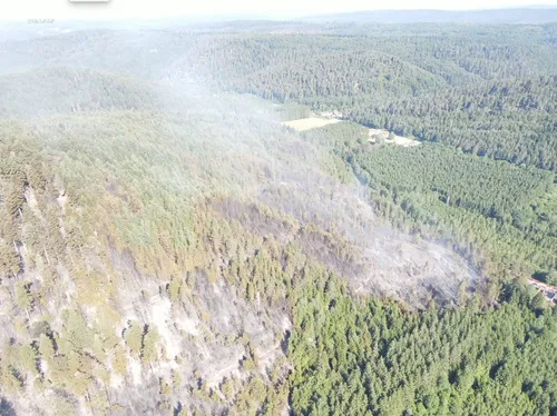 Les Vosges et la Haute-Marne en vigilance sécheresse