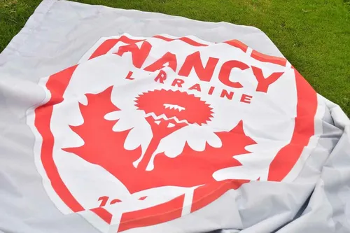 Football : le président de l'AS Nancy-Lorraine, Sébastien Janodet,...