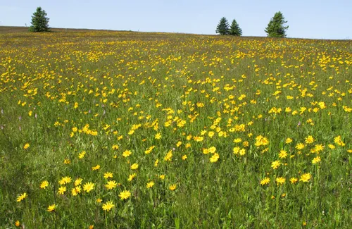 La Haute-Marne et la Meurthe-et-Moselle en vigilance jaune...