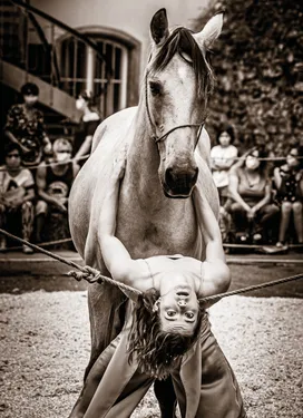 Le festival Scènes en Selle vous donne rendez-vous dès aujourd'hui...