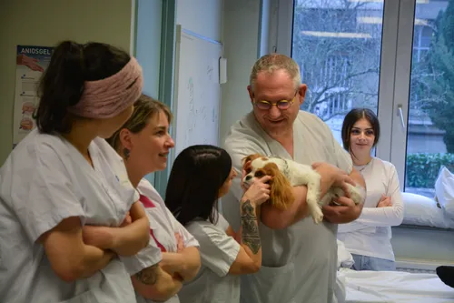 De la médiation animale auprès des étudiants de l'IFAS du CHRU de...