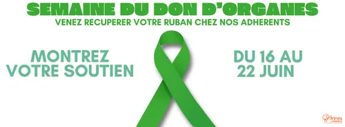 Les commerçants se mettent au vert à Nancy jusqu'au 22 juin