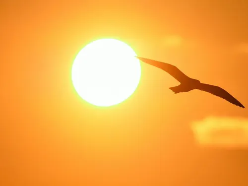 Juin Orange 2025 : Ensemble contre les cancers de la peau,...