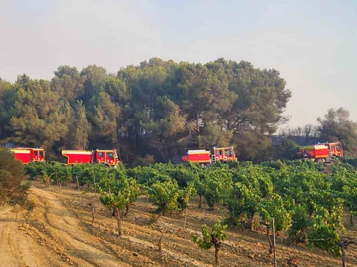 12 sapeurs-pompiers vosgiens envoyés en renfort  dans le Sud