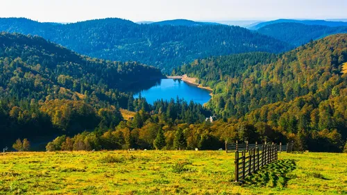 Navettes estivales à La Bresse : un nouveau service gratuit pour un...