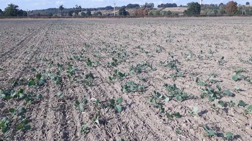 Sécheresse en Lorraine : la Meurthe-et-Moselle et les Vosges...