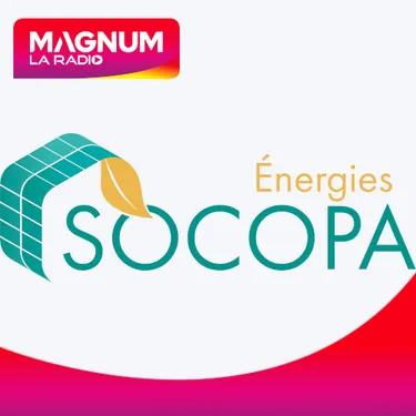 LES ACTEURS DE L'ÉCONOMIE - SOCOPA