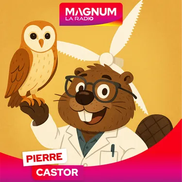 Pierre Castor 06.05.2025 : Pourquoi les chouettes sont-elles...