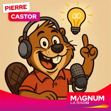 Pierre Castor 16.05.2025 : Que se passe-t-il dans le cerveau...