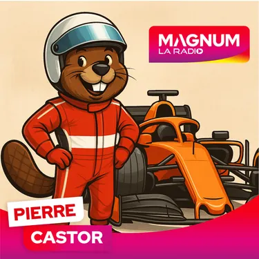 Pierre CASTOR ! F1 : pourquoi parle-t-on d’écuries pour les équipes...